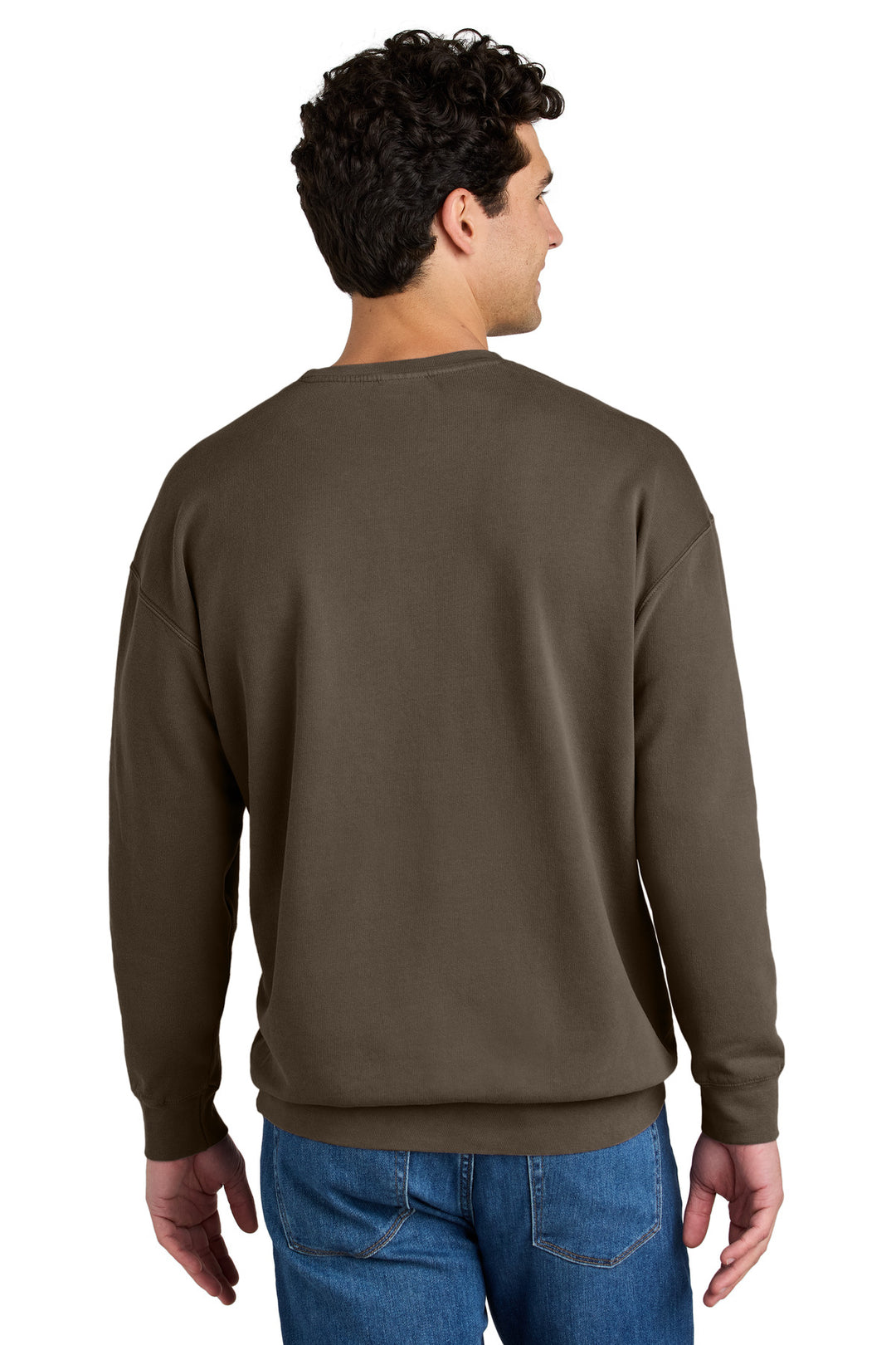 Comfort Colors Lightweight Crewneck Sweatshirt 1466